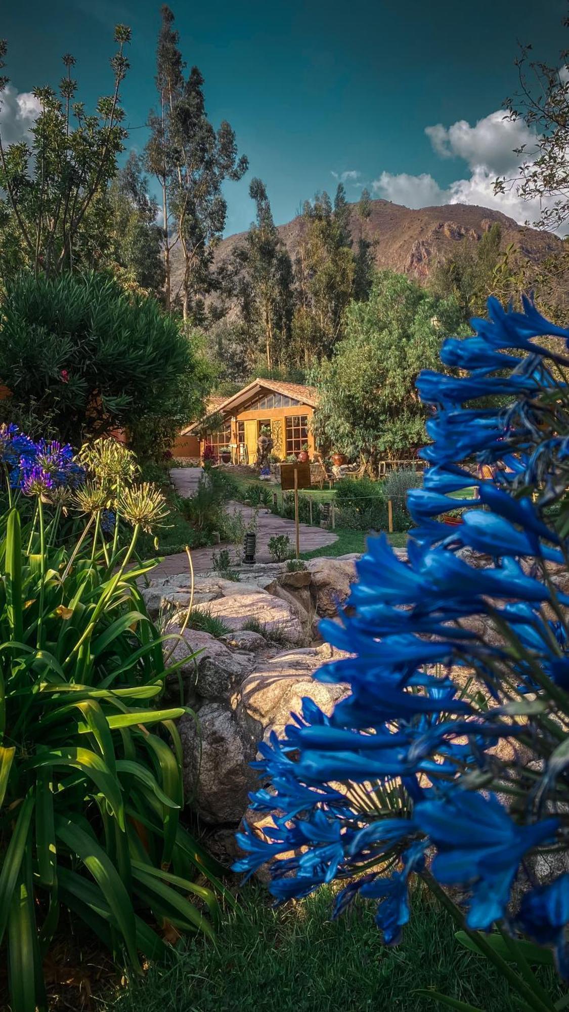 Andean Wings Valley Urubamba Buitenkant foto